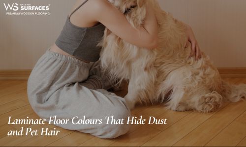Laminate Floor Colours That Hide Dust and Pet Hair