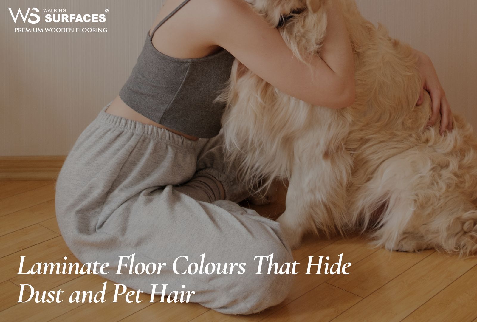 Laminate Floor Colours That Hide Dust and Pet Hair Laminate Floor Colours That Hide Dust and Pet Hair
