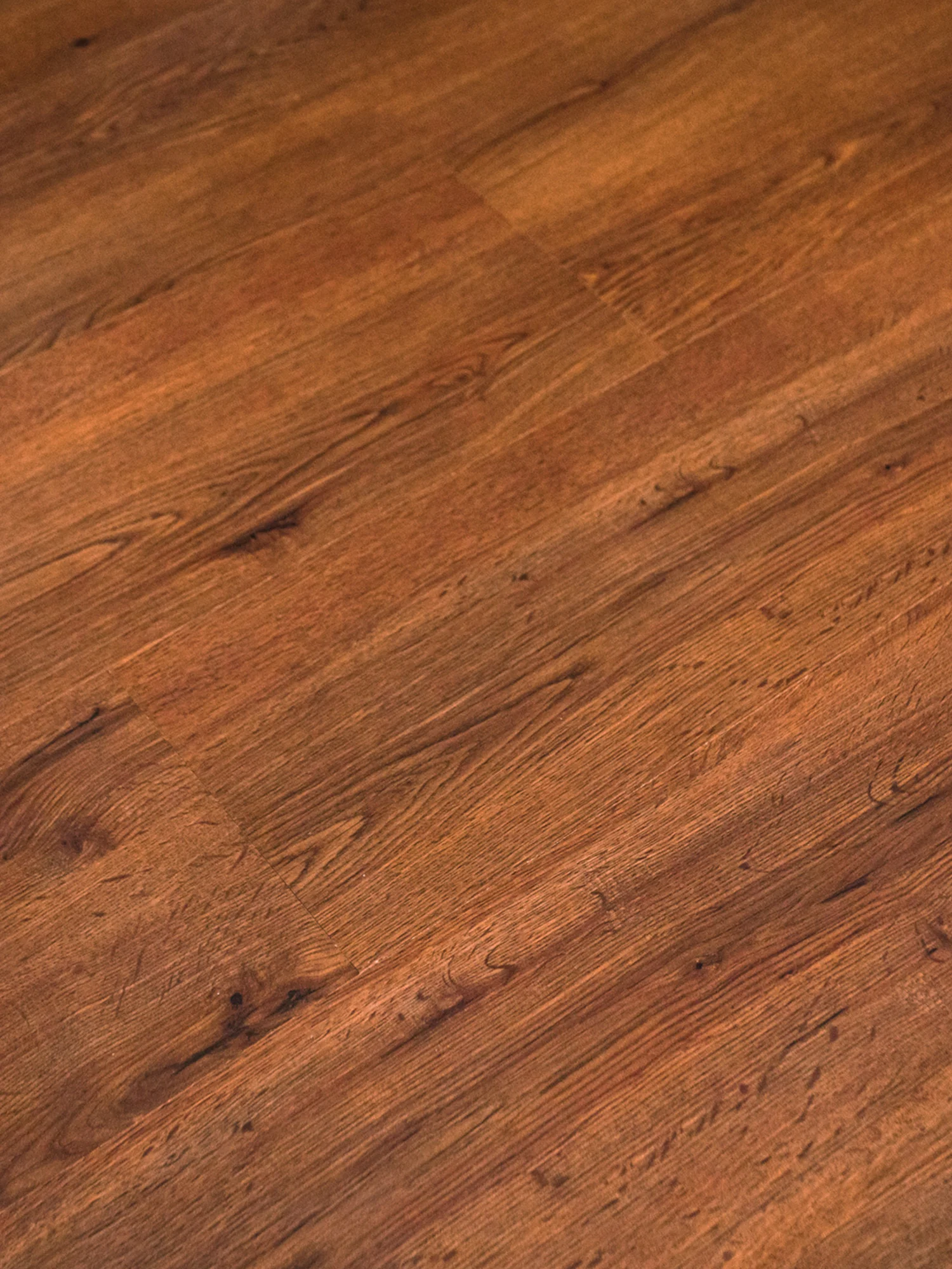 Folium Collection
